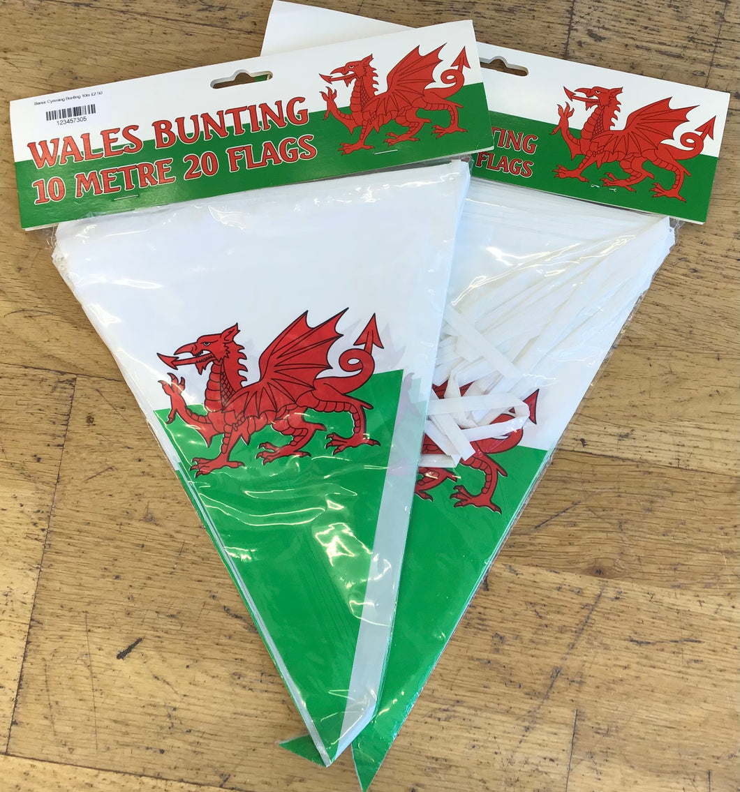 Baner Cymraeg Bunting 10m