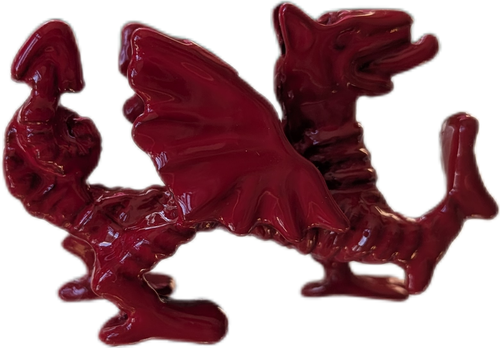 Draig fetal fach