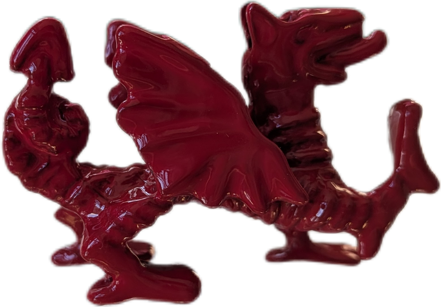 Draig fetal fach