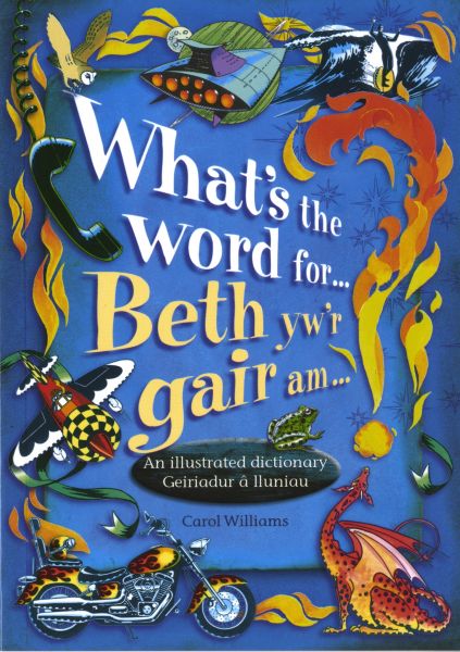Beth ywr Gair Am .......  Carol Williams