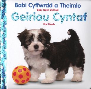 Geiriau Cyntaf