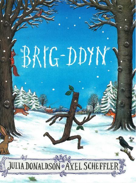 Brig-Ddyn Gan Julia Donaldson a Axel