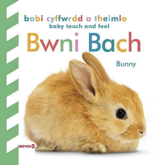 Babi Cyffwrdd a Theimlo: Bwni Bach