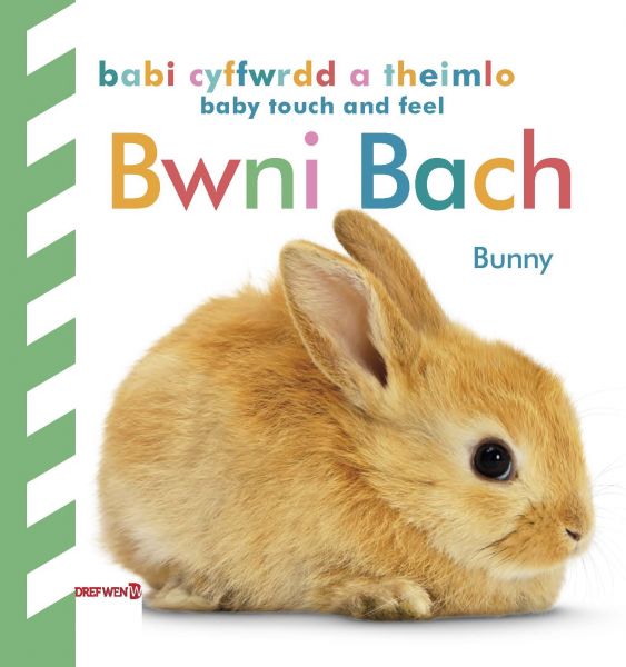Babi Cyffwrdd a Theimlo: Bwni Bach