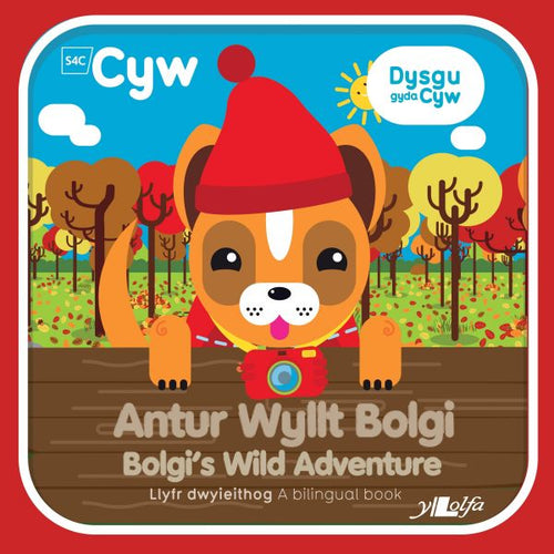 Antur Wyllt Bolgi