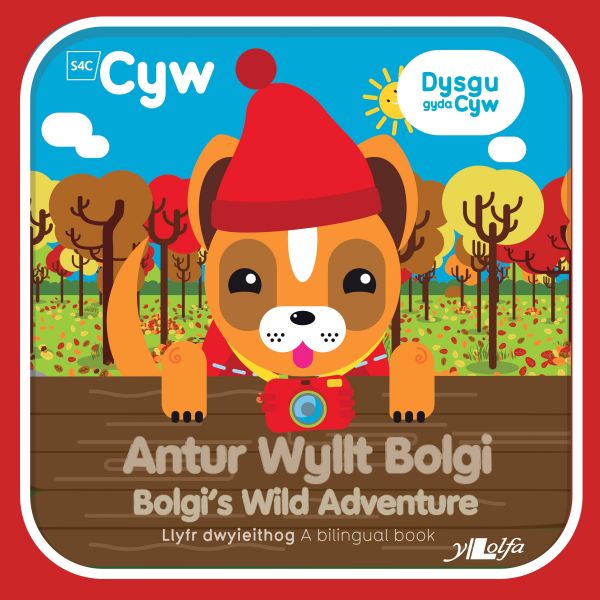 Antur Wyllt Bolgi