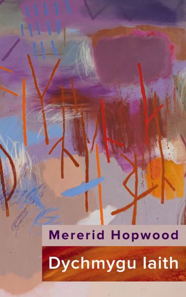 Dychmygu Iaith Gan Mererid Hopwood