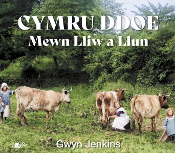 Cymru Ddoe Mewn Lliw A Llun