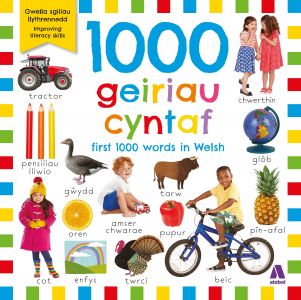 1000 geiriau cyntaf