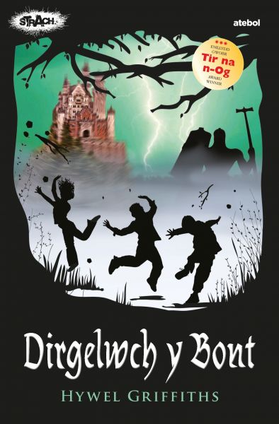 Dirgelwch y Bont gan Hywel Griffiths
