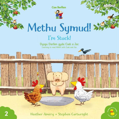 Methu Symud! Heather Amery
