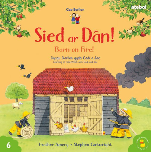 Cae Berllan: Sied ar Dan