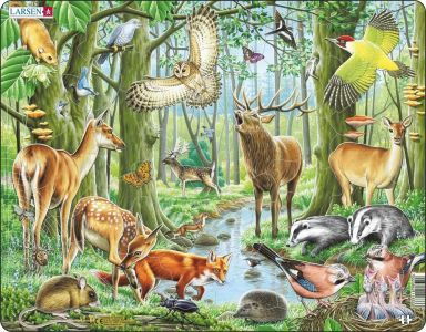 Jig-so Anifeiliaid y Goedwig
