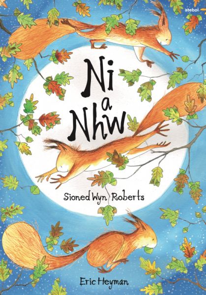 Ni A Nhw Gan Sioned Wyn Roberts