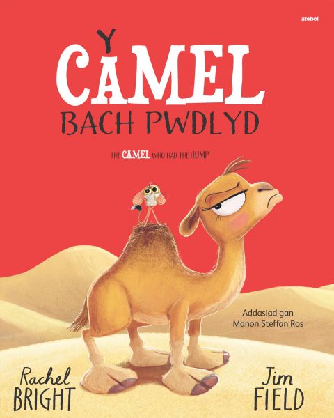 Y Camel Bach Pwdlyd
