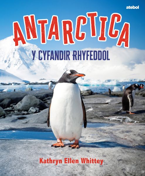 Antarctica: Y Cyfandir Rhyfeddol gan Kathryn Ellen