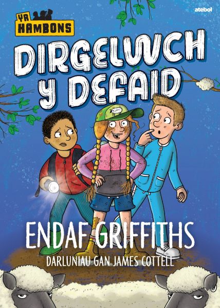Dirgelwch y Defaid gan Endaf Griffiths