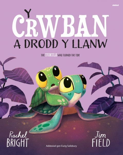 Y Crwban a Drodd y Llanw