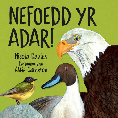 Nefoedd yr Adar