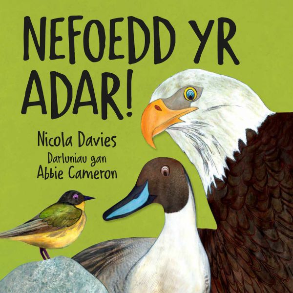 Nefoedd yr Adar