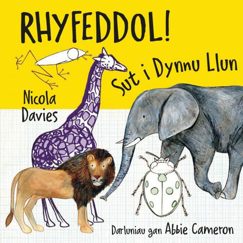 Rhyfeddol! Sut i dynnu llun Nicola Davie