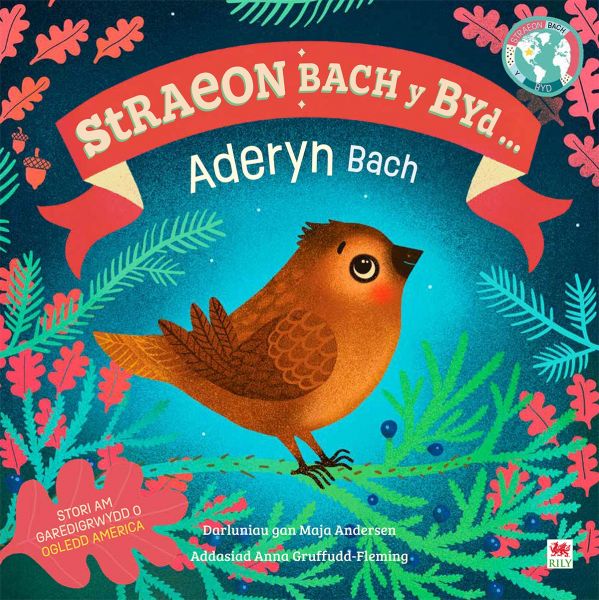 Straeon Bach Y Byd Yr Aderyn Bach