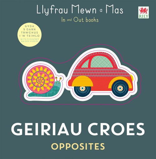 Llyfrau Mewn a Mas: Geiriau Croes