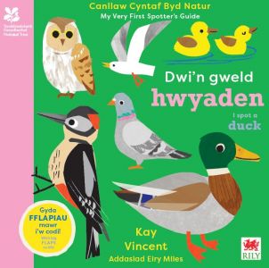 Dwi'n Gweld Hwyaden gan Eiry Miles