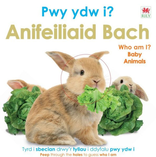 Pwy ydw i? Anifeiliaid Bach