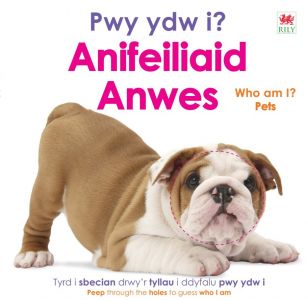 Pwy Ydw I? Anifeiliaid Anwes