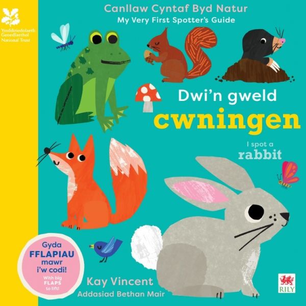 Dwi'n Gweld Cwningen