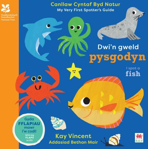Dwin Gweld Pysgodyn