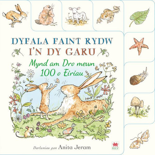 Dyfala Faint Rydw in Dy Garu Mynd am Dro Mewn 100