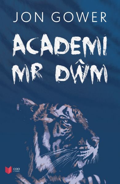 Academi Mr Dwm gan Jon Gower