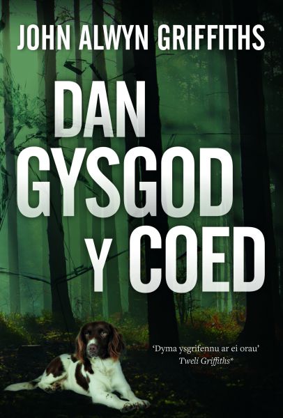 Dan Gysgod y Coed John Alwyn Griffiths