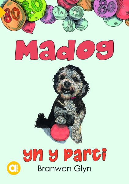 Cyfres Amdani Mynediad: Madog yn y Parti