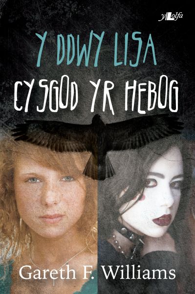 Y Ddwy Lisa Cysgod Yr Hebog