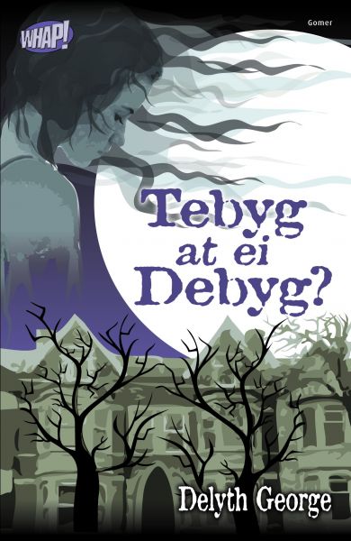 Tebyg At Ei Debyg?