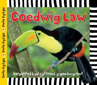 Dwlu Dysgu Coedwig law