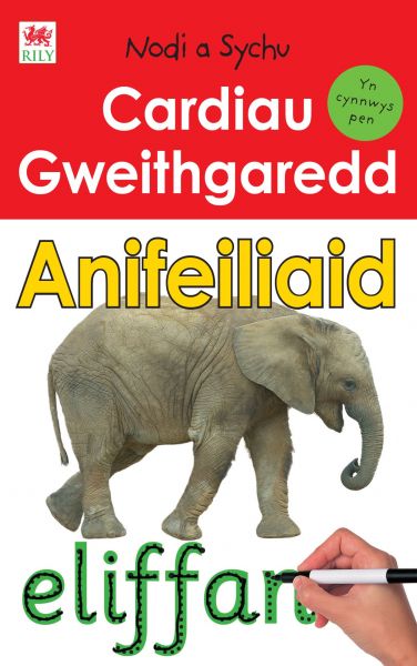 Cardiau Gweithgaredd Aifeiliaid