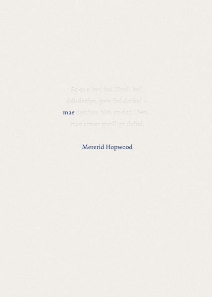Mae gan Mererid Hopwood