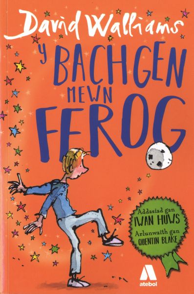 Y Bachgen Mewn Ffrog gan David Walliams