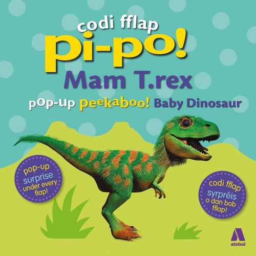 Pi-po! Mam T.Rex