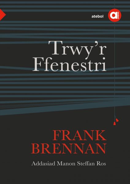 Cyfres Amdani  Trwy r Ffenestri