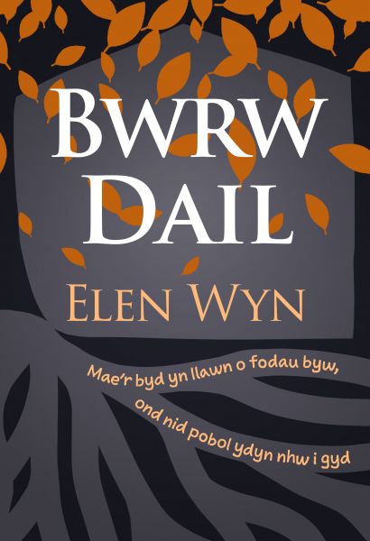 Bwrw Rail gan Elen Wyn