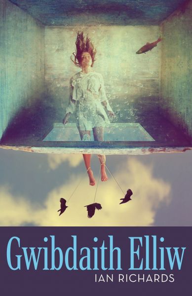 Gwibdaith Elliw gan Ian Richards