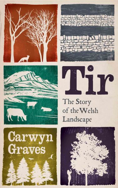 Tir - The Story of the Welsh Landscape gan Carwyn Graves