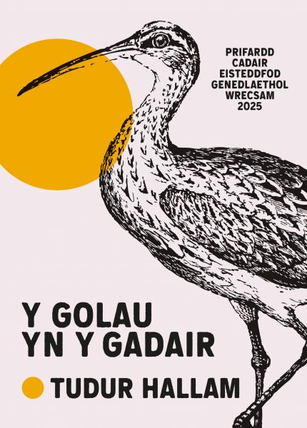 Y Golau yn y Gadair gan Tudur Hallam