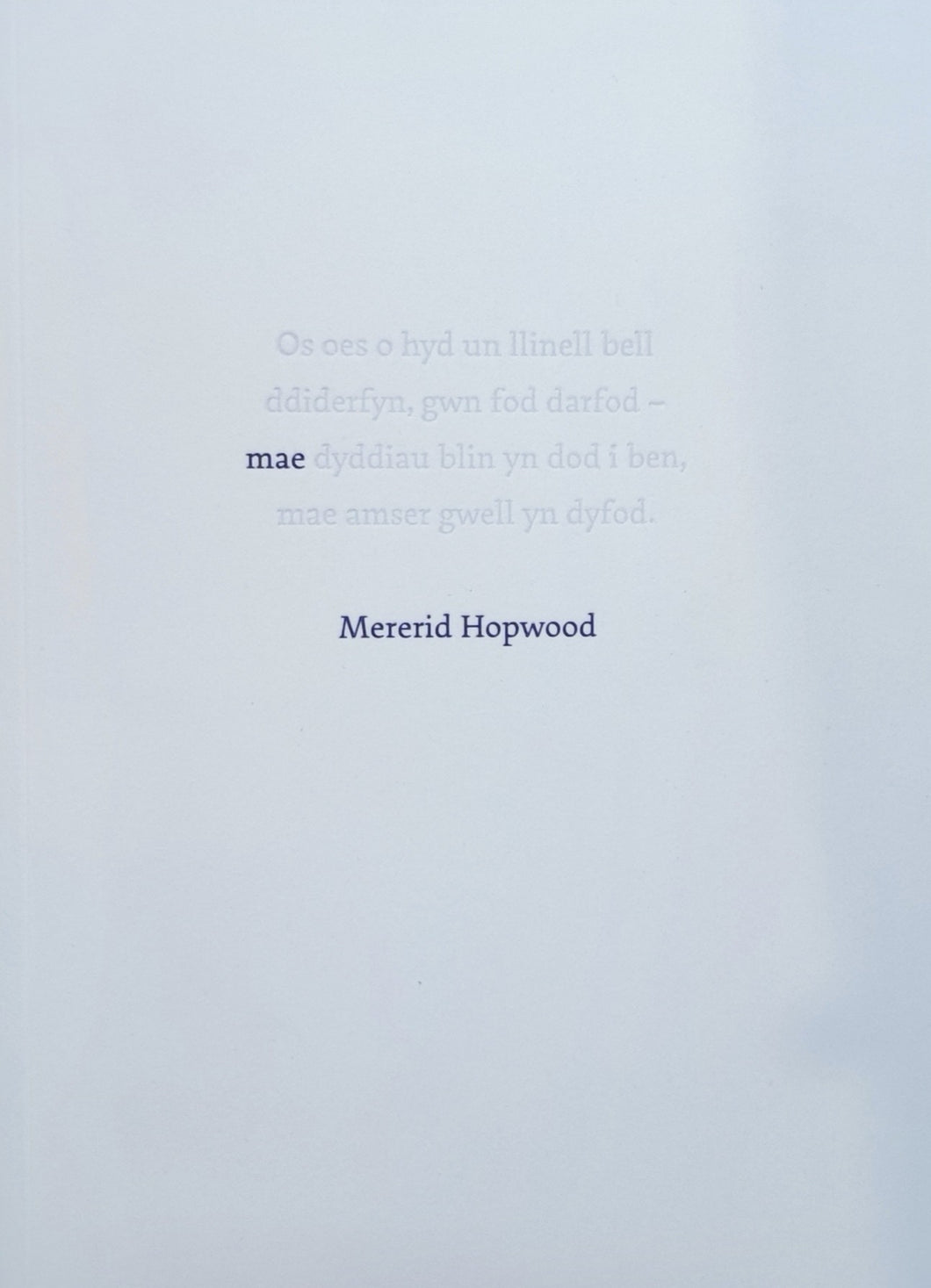 Mae gan Mererid Hopwood