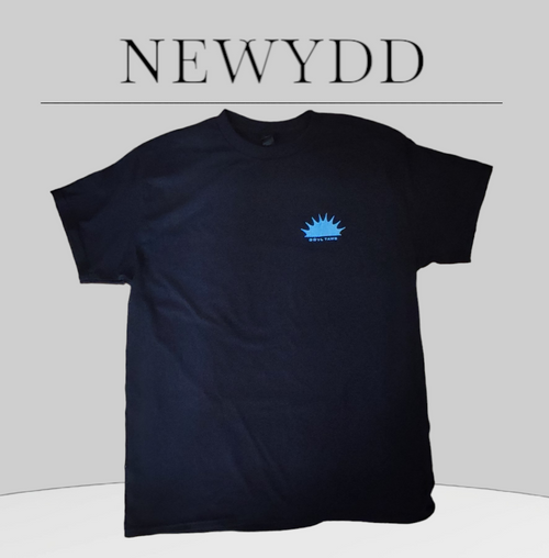 Crys-t Gŵyl Tawe